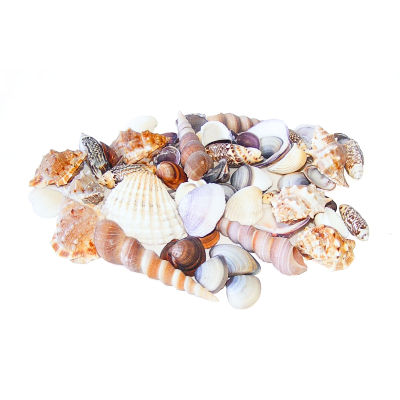 Coquillages 900g